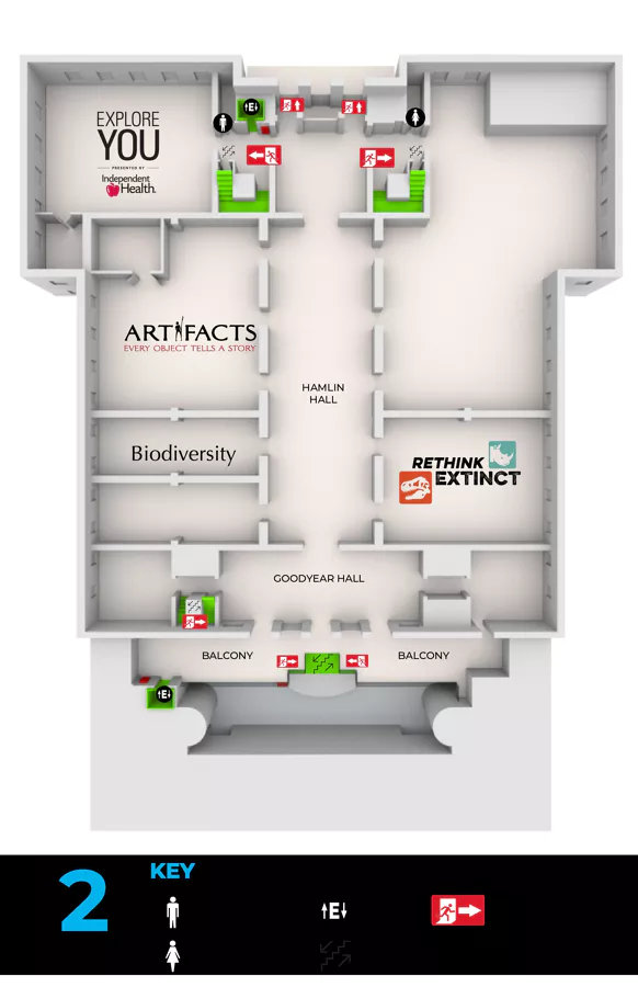 SecondFloorBMS9211242